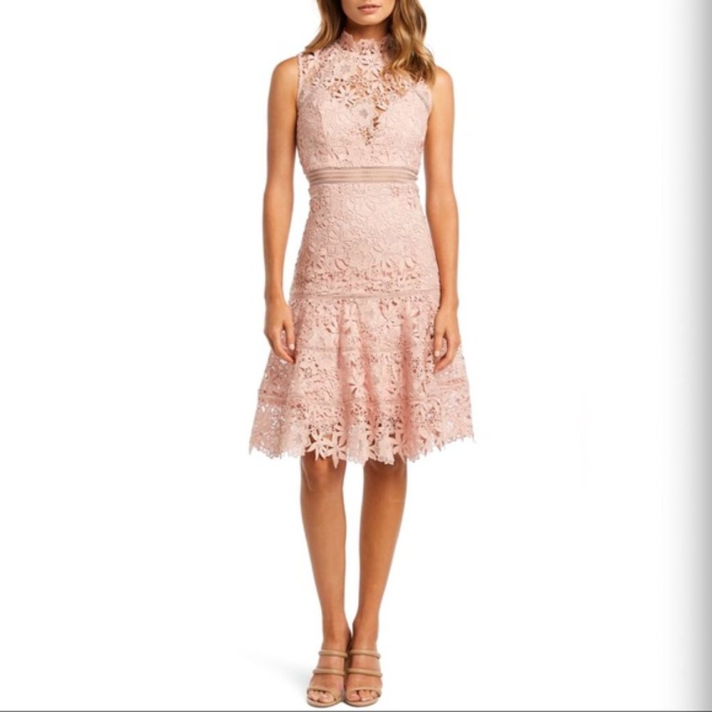 NWOT BARDOT Elise Pink Lace Cocktail Dress 8 M
